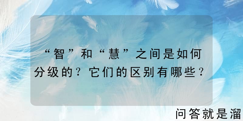 “智”和“慧”之间是如何分级的？它们的区别有哪些？