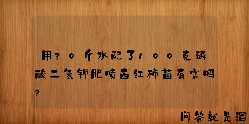 用30斤水配了100克磷酸二氢钾肥喷西红柿苗有害吗？