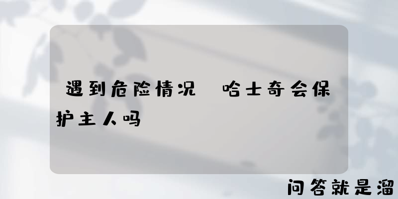 遇到危险情况，哈士奇会保护主人吗？